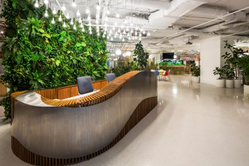 Kinh nghiệm trang trí văn phòng bằng cây xanh đẹp chuẩn 2023