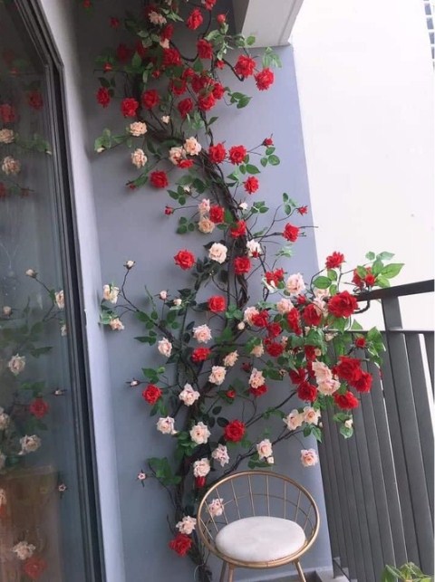Gợi ý cách trang trí ban công với tường hoa hồng leo tuyệt đẹp
