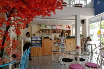 Decor cây phong lá đỏ giả cho quán cafe Demo