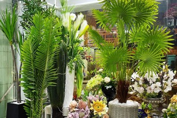 Top 5 cửa hàng cây giả đẹp, chất nhất nhì Nha Trang, Khánh Hòa