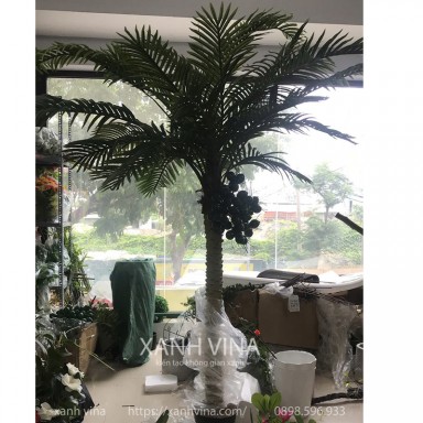 Cây cau giả trang trí