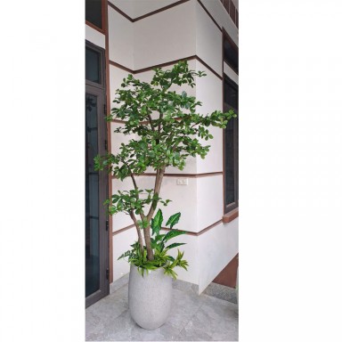 Cây Thiên Lộc Giả KT 210cm