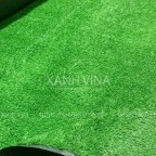 Thảm cỏ nhân tạo ngọn cao 2cm