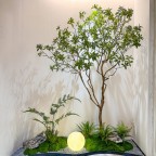 Thi công tiểu cảnh khô trong nhà tại Hải Phòng