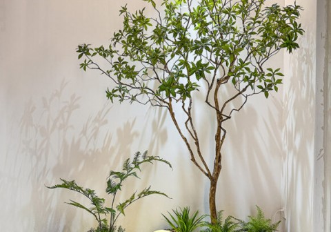 Thi công tiểu cảnh khô trong nhà tại Hải Phòng
