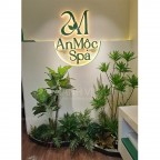 Thi công tiểu cảnh cây giả cho Spa An Mộc