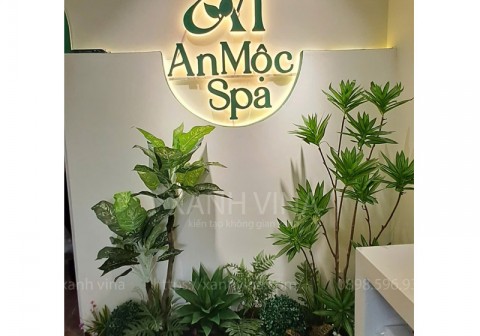 Thi công tiểu cảnh cây giả cho Spa An Mộc