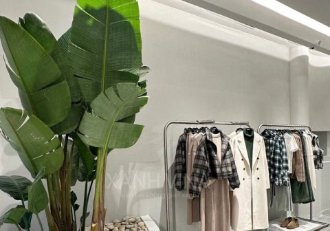 Tiểu cảnh cây giả cho shop quần áo