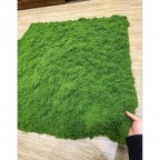 Thảm rêu sợi trang trí KT 1mx1m