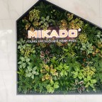 Tường Cây Giả Cho ShowRoom MIKADO Hoàng Phúc Ceramic