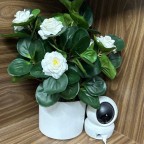 Chậu hoa giả để bàn Chậu hoa giả để bàn
