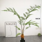 cây dương xỉ culi giả 180cm cây dương xỉ culi giả 180cm