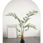 cây dương xỉ culi giả 180cm cây dương xỉ culi giả 180cm