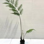 cây dương xỉ culi giả 100cm cây dương xỉ culi giả 100cm