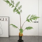 cây dương xỉ culi giả 160cm cây dương xỉ culi giả 160cm