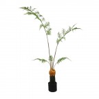 cây dương xỉ culi giả 130cm cây dương xỉ culi giả 130cm