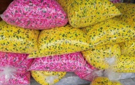 5 Kinh nghiệm mua cành hoa đào giá sỉ hay nhất