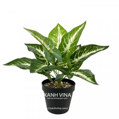 Chậu cây giả khoai xanh lòng trắng để bàn