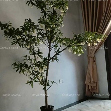 Cây giả trang trí hoa thuỷ trúc KT 200cm