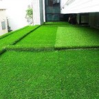 Thảm cỏ nhân tạo trải sàn đế cao su