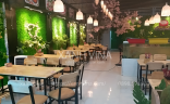 Ngắm mẫu tường cây xanh giả cho quán cơm niêu