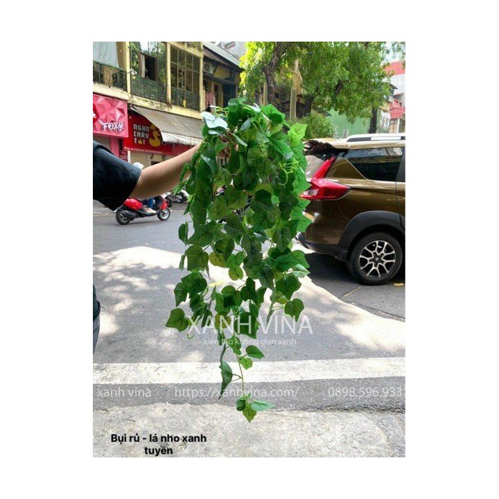 Chậu cây giả treo tường