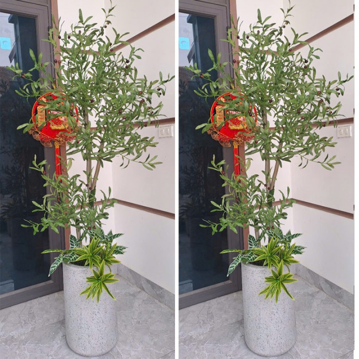 Cây oliu giả thân gỗ KT190cm