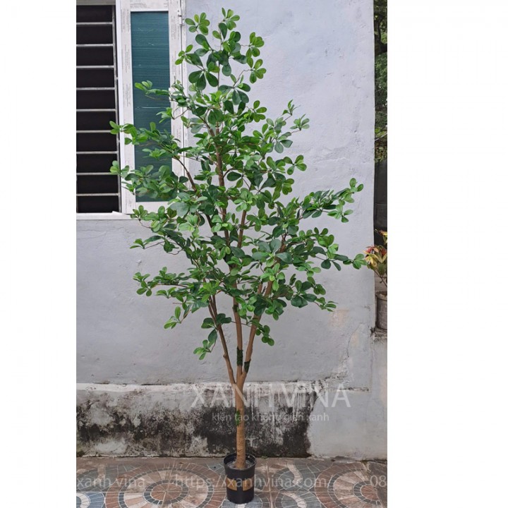 Cây cảnh giả thiên lộc KT 220cm