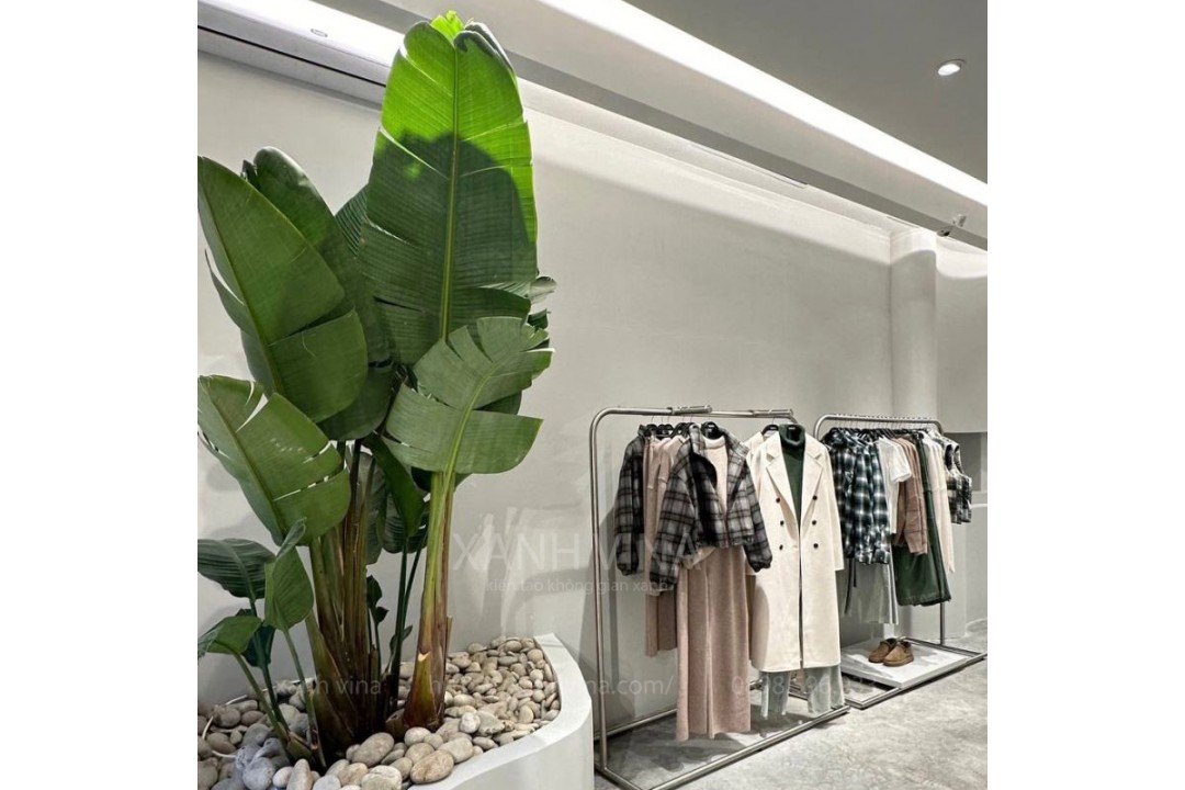 Tiểu cảnh cây giả cho shop quần áo