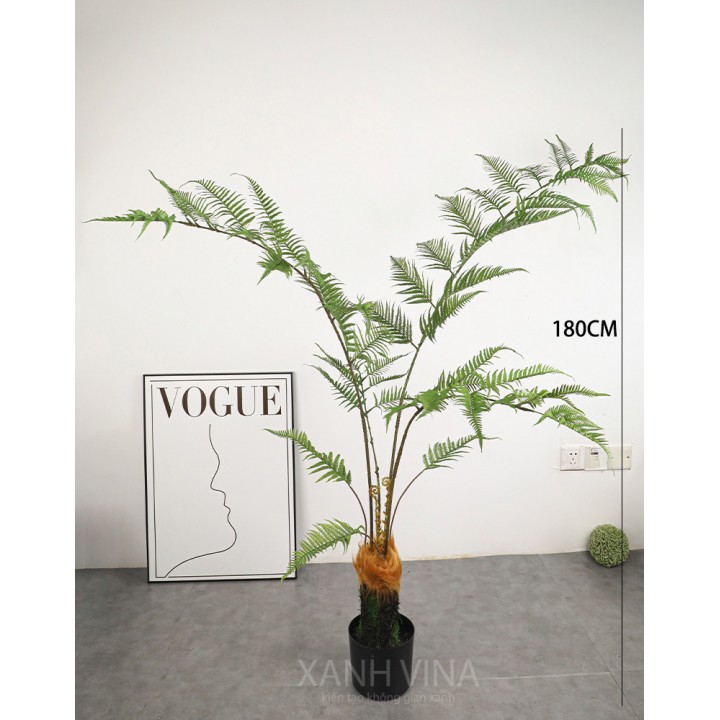 cây dương xỉ culi giả 180cm cây dương xỉ culi giả 180cm
