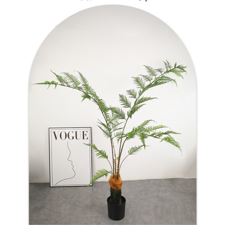 cây dương xỉ culi giả 180cm cây dương xỉ culi giả 180cm