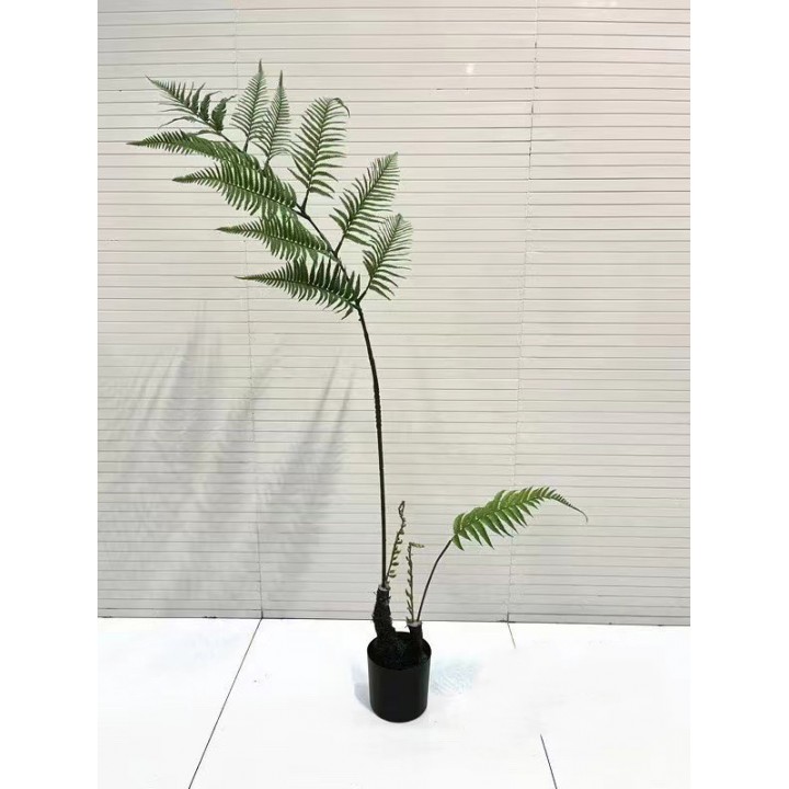 cây dương xỉ culi giả 100cm cây dương xỉ culi giả 100cm