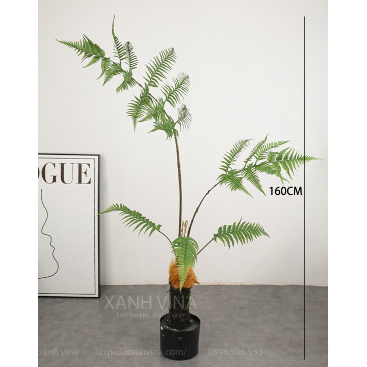 cây dương xỉ culi giả 160cm cây dương xỉ culi giả 160cm