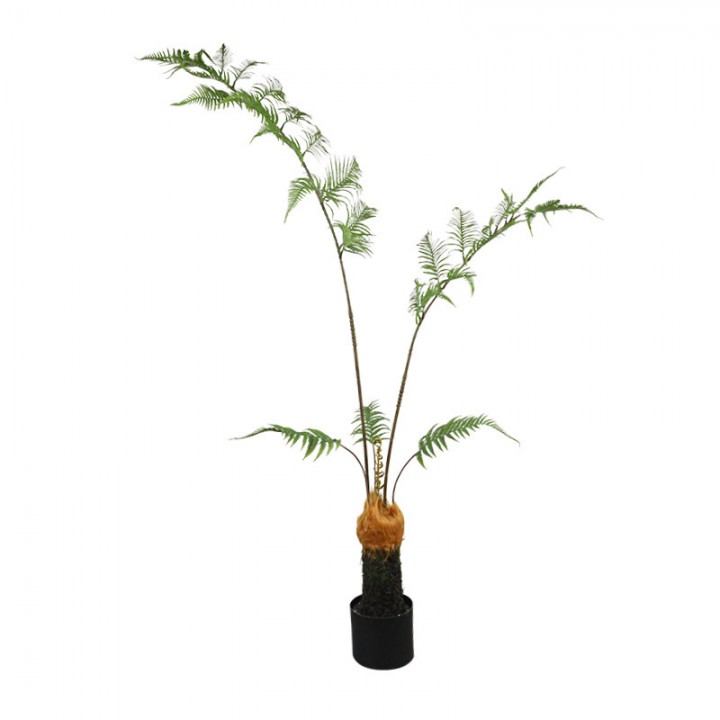 cây dương xỉ culi giả 130cm cây dương xỉ culi giả 130cm