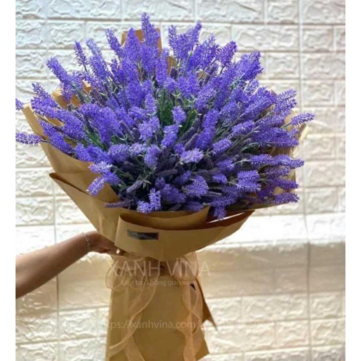 hoa oải hương giả hoa oải hương giả