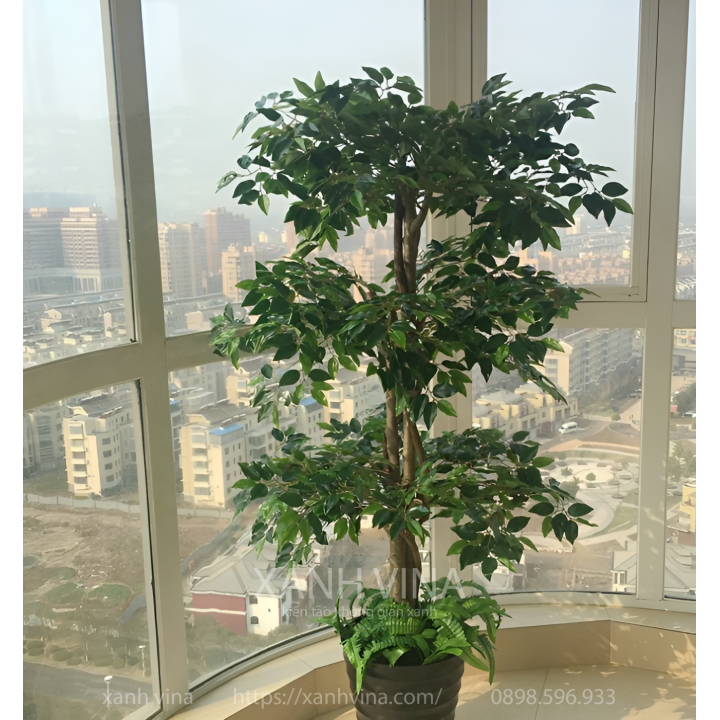 Cây Sanh bonsai nhân tạo
