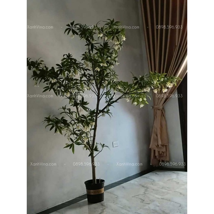 Cây giả trang trí hoa thuỷ trúc KT 200cm