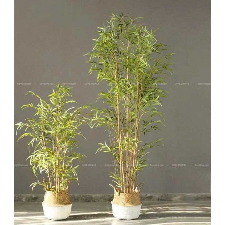 cây tre giả trồng trong chậu