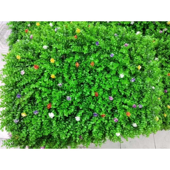Thảm cỏ treo tường có hoa nhí - Cỏ tai chuột 60 x 40cm