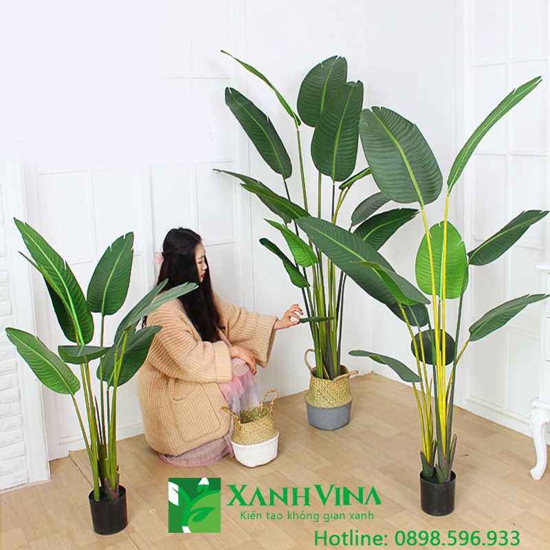 Xanhvina.com nằm trong top 5 địa chỉ bán cây chuối giả trang trí đẹp giá tốt nhất tại Hà Nội