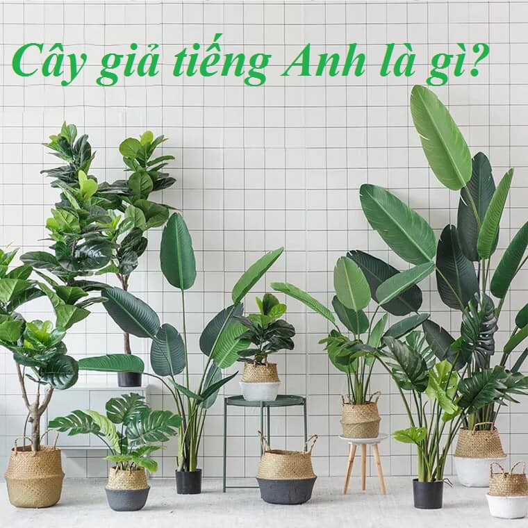 Cây giả tiếng Anh là gì? Những từ vựng tiếng Anh liên quan đến cây ...