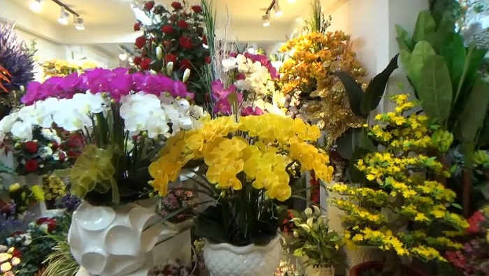 Mua cây giả, hoa giả tại Chợ Lớn - Sự lựa chọn hàng đầu của người Sài Gòn 