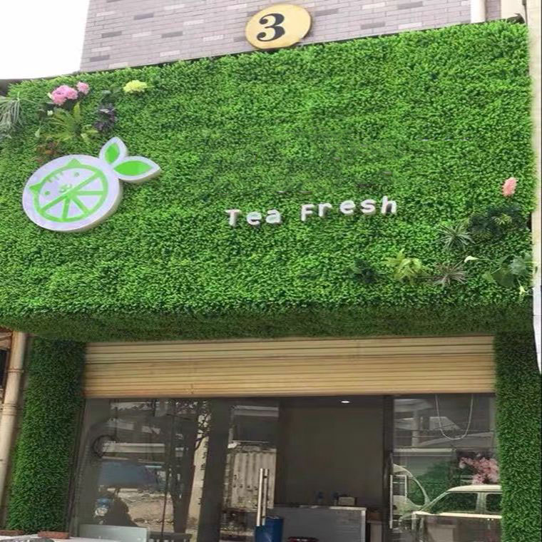 mẫu tưởng cỏ ngoài trời cho quán cafe tea