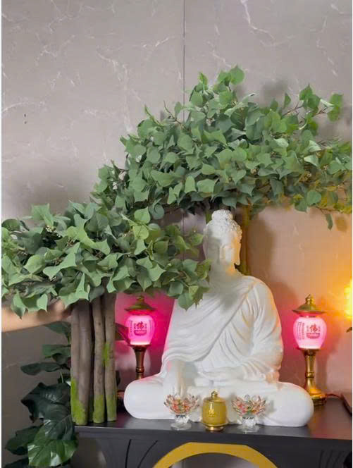 cây bồ đề giả