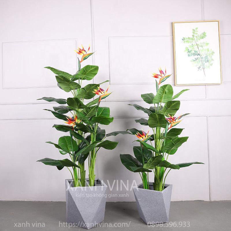 cây thiên điểu giả có 3 hoa kích thước 150cm