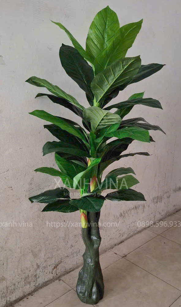 cây vạn niên thanh giả 150cm lá xanh