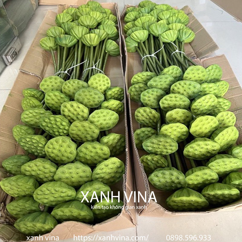 Đài sen non giả