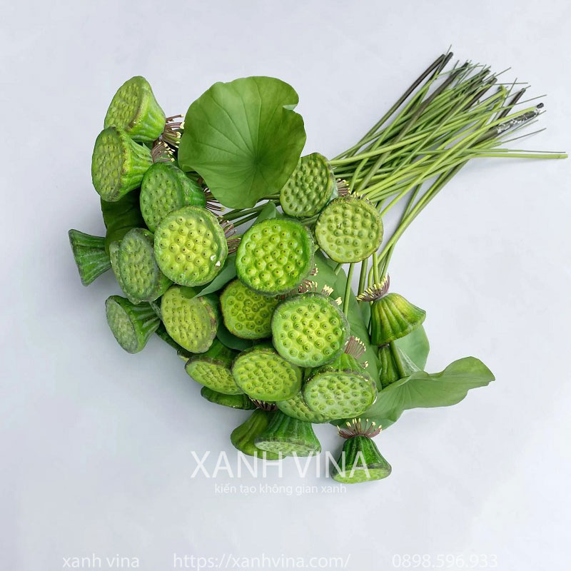 Đài sen non giả