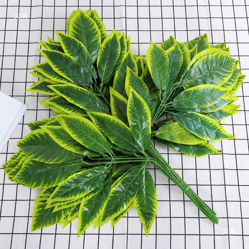 Cành lá kim tứ giả llas viền vàng