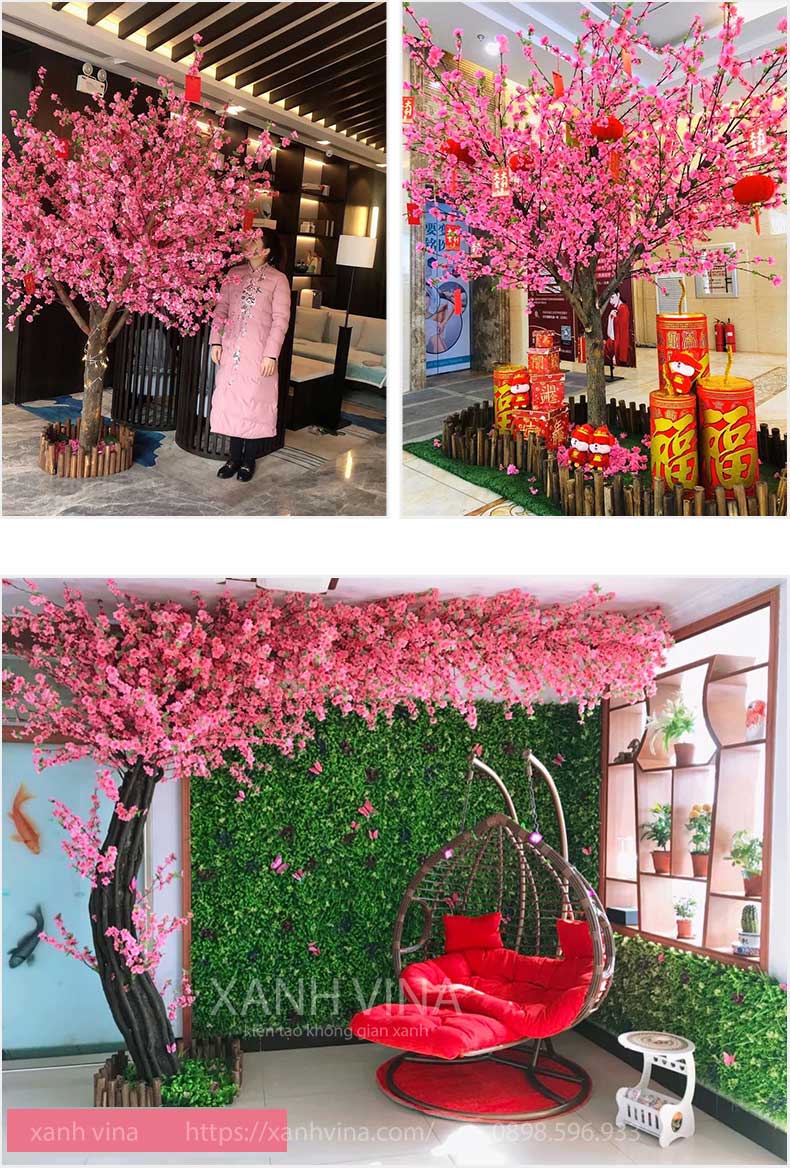 cây hoa đào dáng huyền